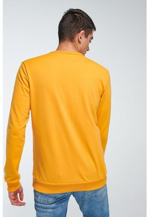 KOAJ-SUETER KOAJ FULIS 63 1/22