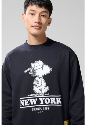 KOAJ BUZO CR KOAJ YORKYT 25370 3/25