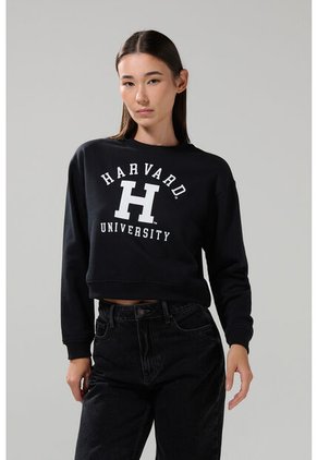 KOAJ BUZO CR KOAJ HATOL 28785 4/25