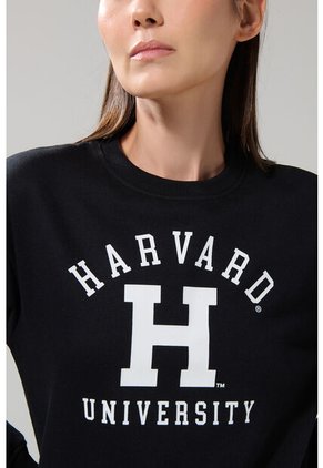 KOAJ BUZO CR KOAJ HATOL 28785 4/25