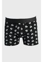 KOAJ BOXER KOAJ PIERNA MEDIA 24951 3/25 de Koaj