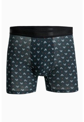 KOAJ-BOXER KOAJ FALVIN 83 2/22