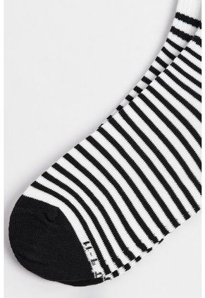 KOAJ MEDIAS KOAJ CORTA PE 24270 2/25