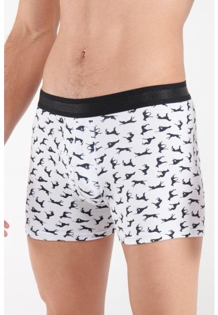 KOAJ-BOXER KOAJ CEFAS 84 4/21
