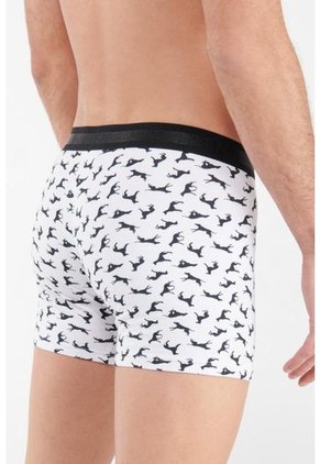 KOAJ-BOXER KOAJ CEFAS 84 4/21