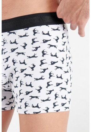 KOAJ-BOXER KOAJ CEFAS 84 4/21