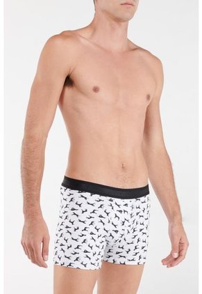 KOAJ-BOXER KOAJ CEFAS 84 4/21