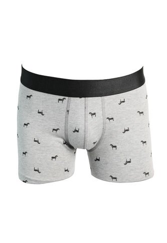 KOAJ BOXER KOAJ PIERNA MEDIA 24953 3/25 Koaj