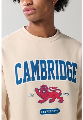 KOAJ SUETER KOAJ AMBLET 19530 1/25