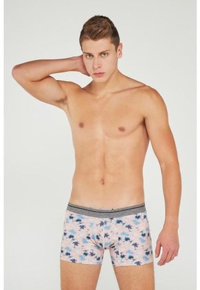 KOAJ-BOXER KOAJ TORRED 49 1/20