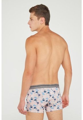 KOAJ-BOXER KOAJ TORRED 49 1/20