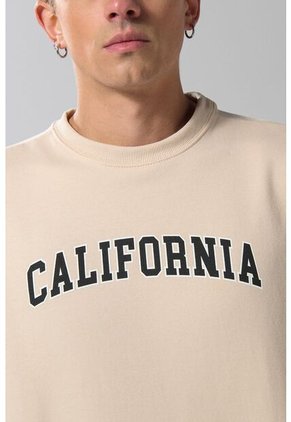 KOAJ SUETER KOAJ 20289 1/25