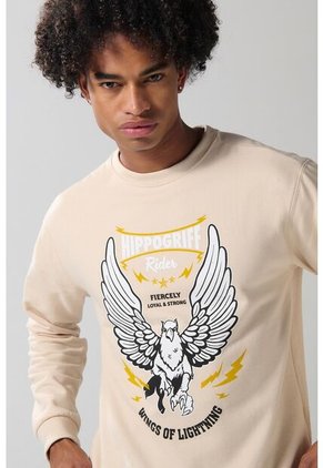 KOAJ SUETER KOAJ HYPPEG 19651 1/25