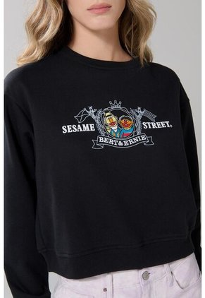 KOAJ SUETER KOAJ ROZMI 17869 1/25