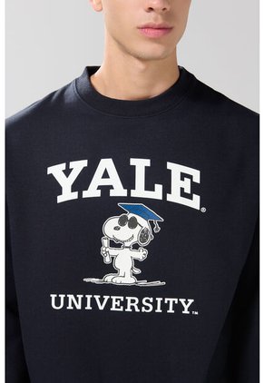 KOAJ BUZO CR KOAJ GRADNOP 29205 4/25