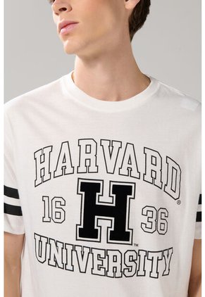 KOAJ CAMISETA KOAJ KLEMON 28737 4/25