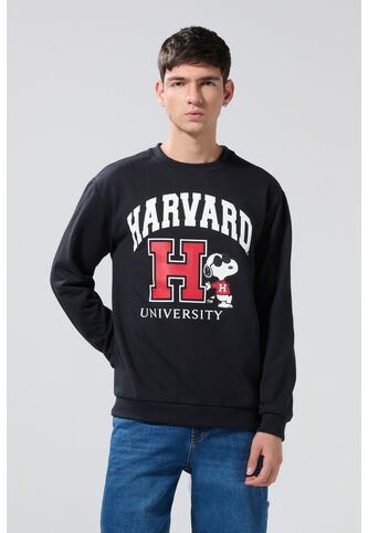 KOAJ BUZO CR KOAJ ELVARD 27650 4/25 Koaj