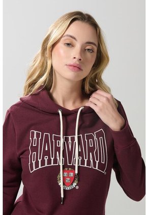 KOAJ BUZO CAPOTA KOAJ TOKOL 19626 1/25