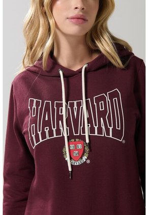 KOAJ BUZO CAPOTA KOAJ TOKOL 19626 1/25