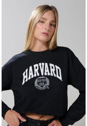 KOAJ SUETER KOAJ ZARV 19595 1/25