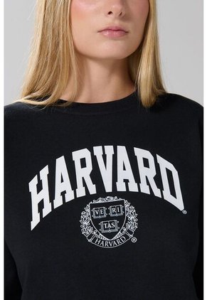 KOAJ SUETER KOAJ ZARV 19595 1/25