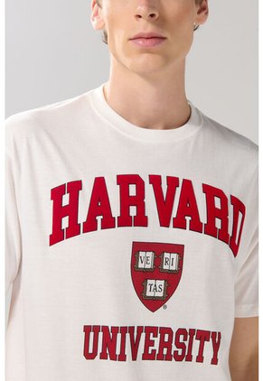 KOAJ CAMISETA KOAJ VATET 28519 4/25