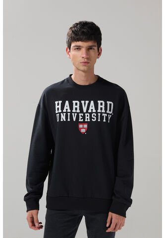 KOAJ BUZO CR KOAJ NALL 29198 4/25 Koaj