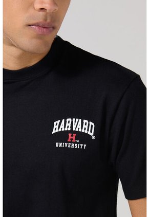 KOAJ CAMISETA KOAJ ZODER 29160 4/25