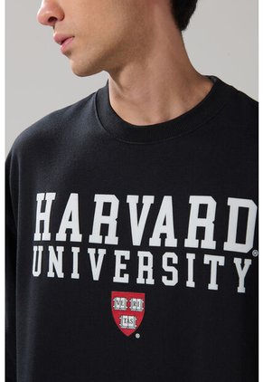 KOAJ BUZO CR KOAJ NALL 29198 4/25