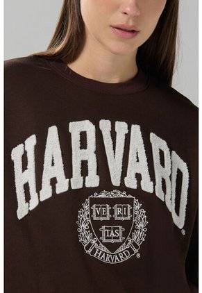 KOAJ BUZO KOAJ PARCHI 29313 4/25