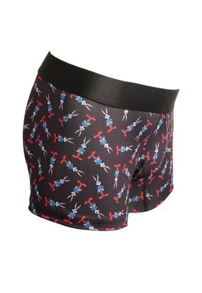 KOAJ BOXER KOAJ PIERNA CORTA 17511 4/24