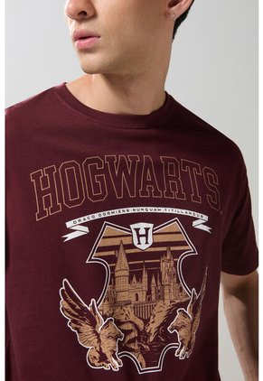 CAMISETA KOAJ KRIPTE 23205 3/25