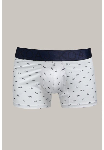 KOAJ BOXER KOAJ PIERNA CORTA 31321 1/26