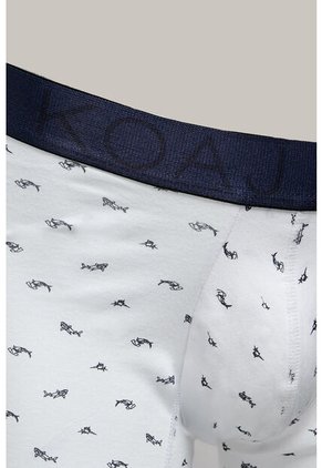 KOAJ BOXER KOAJ PIERNA CORTA 31321 1/26
