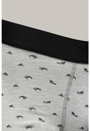 KOAJ BOXER KOAJ PIERNA MEDIA 31323 1/26