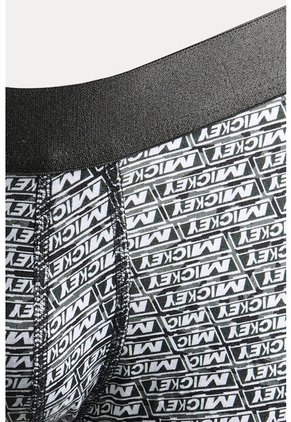 KOAJ BOXER KOAJ PIERNA MEDIA 21380 1/25