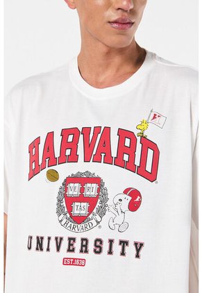 KOAJ CAMISETA KOAJ LLYNOKE 15826 4/24