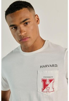 KOAJ CAMISETA KOAJ ACHE 6426 2/24