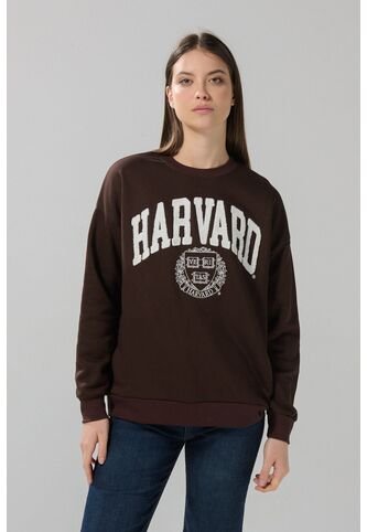 KOAJ BUZO KOAJ PARCHI 29313 4/25 Koaj