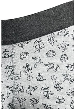 KOAJ BOXER KOAJ PIERNA MEDIA 10217 3/24