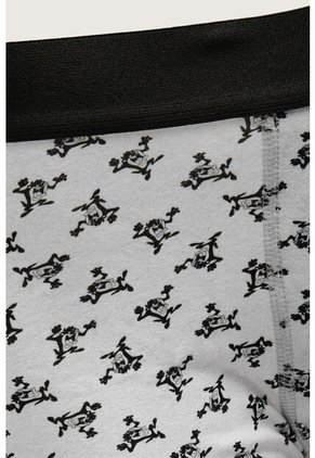 KOAJ BOXER KOAJ PIERNA MEDIA 28600 4/25