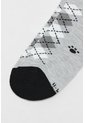 KOAJ MEDIAS KOAJ CORTA PE 32746 2/26 de Koaj
