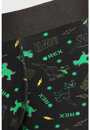 KOAJ BOXER KOAJ PM CLAK 23641 2/25