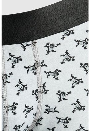 KOAJ BOXER KOAJ PIERNA MEDIA 26849 3/25