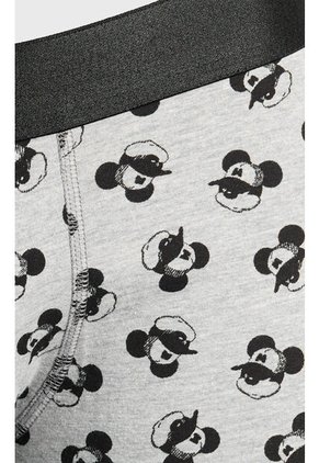 KOAJ BOXER KOAJ PIERNA MEDIA 24950 1/25