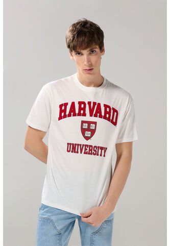 KOAJ CAMISETA KOAJ VATET 28519 4/25 Koaj