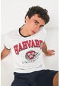 KOAJ CAMISETA KOAJ ZATURNOL 15866 4/24 de Koaj