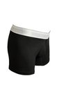 KOAJ BOXER KOAJ PIERNA CORTA 20458 1/25 de Koaj