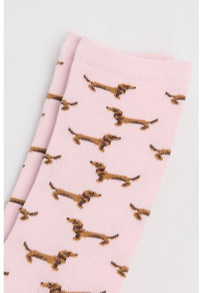 KOAJ MEDIAS KOAJ LARGA 29173 4/25