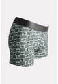 KOAJ BOXER KOAJ PM KIMT 23651 2/25 de Koaj